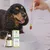 VetyVert - Complément alimentaire vétérinaire - Rénal chien 150 mL