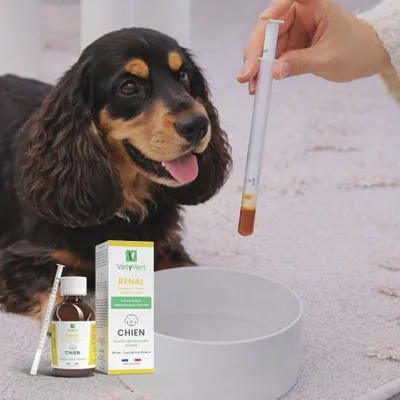 VetyVert - Complément alimentaire vétérinaire - Rénal chien 150 mL