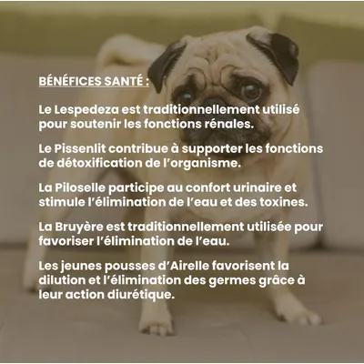 VetyVert - Complément alimentaire vétérinaire - Rénal chien 150 mL