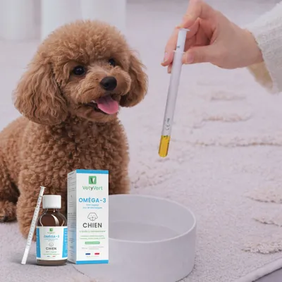 VetyVert - Complément alimentaire vétérinaire - Oméga 3 chien 150 mL