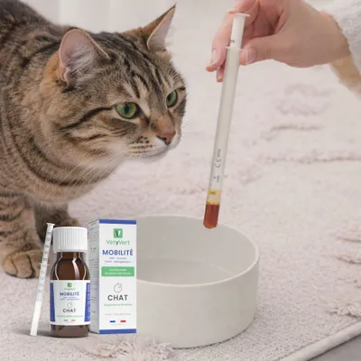 VetyVert - Complément alimentaire vétérinaire - Mobilité chat 50 mL VetyVert - Complément alimentaire vétérinaire - Mobilité chat 50 mL