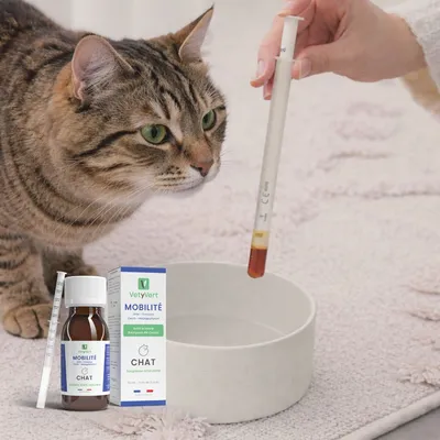 VetyVert - Complément alimentaire vétérinaire - Mobilité chat 50 mL