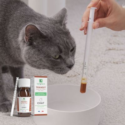 VetyVert - Complément alimentaire vétérinaire - Transit chat 50 mL