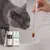 VetyVert - Complément alimentaire vétérinaire - Transit chat 50 mL