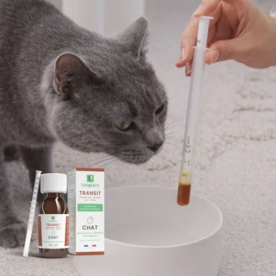 VetyVert - Complément alimentaire vétérinaire - Transit chat 50 mL