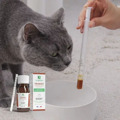 VetyVert - Complément alimentaire vétérinaire - Transit chat 50 mL