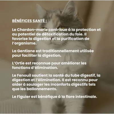 VetyVert - Complément alimentaire vétérinaire - Transit chat 50 mL
