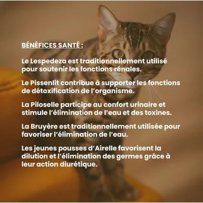 VetyVert - Complément alimentaire vétérinaire - Rénal chat 50 mL