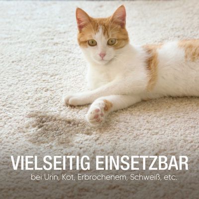 Pawlie's Waschmittel zur Geruchsentfernung