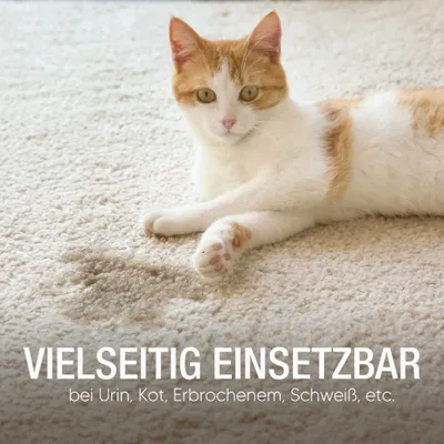 Pawlie's Waschmittel zur Geruchsentfernung