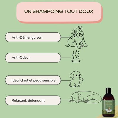 Tails of Glory Shampooing Bio pour Chiens, Vegan, Naturel & Cruelty Free