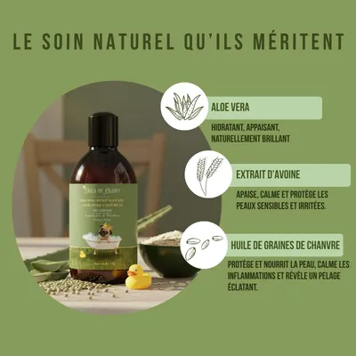 Tails of Glory Shampooing Bio pour Chiens, Vegan, Naturel & Cruelty Free