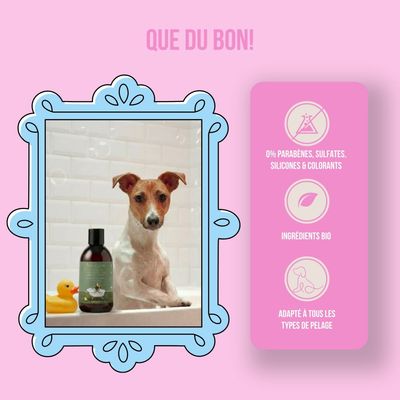 Tails of Glory Shampooing Bio pour Chiens, Vegan, Naturel & Cruelty Free