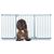 Bettacare Elite Barrière Pour Chien 170-179cm Gris Mat