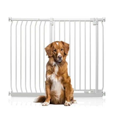 Bettacare Elite Barrière Extra Haute 197–206 cm Gris Mat Bettacare Elite Barrière Extra Haute 197–206 cm Gris Mat