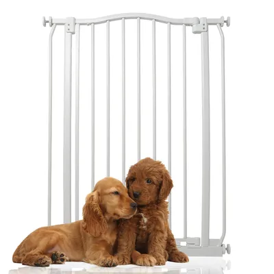 Bettacare Barrière Chien Courbée Extra Haute 152-161cm 100cm Blanc Mat
