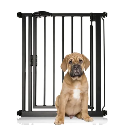 Bettacare Barrière Pour Chien Étroit 68,5-75 cm Noir Mat