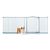 Bettacare Barrière Animaux Design Courbé 198–207 cm Gris Mat