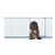 Bettacare Elite Barrière à Pression 198–207 cm Gris Mat