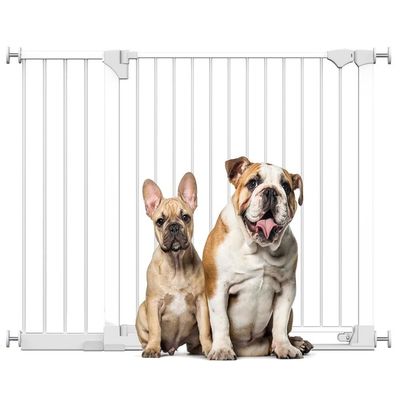 Bettacare Barrière SafeStep noir, seuil extra bas