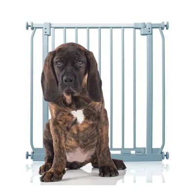 Bettacare Elite Barrière Pour Animaux 71cm - 80cm Gris Mat Bettacare Elite Barrière Pour Animaux 71cm - 80cm Gris Mat