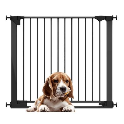 Bettacare Barrière SafeStep noir, seuil extra bas