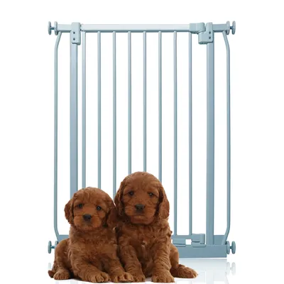 Bettacare Elite Barrière Pour Chiens Extra Haute 71–80 cm Gris Mat Bettacare Elite Barrière Pour Chiens Extra Haute 71–80 cm Gris Mat