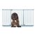 Bettacare Elite Barrière À Pression 152–161 cm Gris Mat