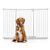 Bettacare Elite Barrière Pour Chiens Extra Haute 152–161 cm Blanc Mat
