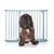 Bettacare Elite Barrière À Pression 98–107 cm Gris Mat