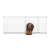 Bettacare Elite Barrière À Pression 152–161 cm Blanc Mat