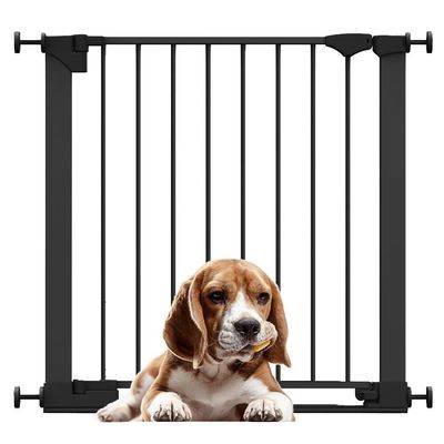 Bettacare Barrière SafeStep avec Barre de Seuil Extra Basse, 81 cm, Noir