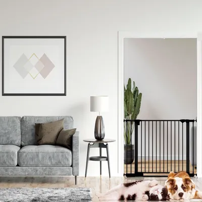 Bettacare Barrière SafeStep Seuil Extra Bas 74 cm Noir