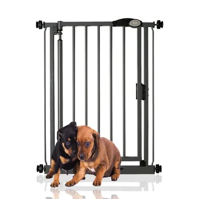 Bettacare, barrière chien auto, 139,6–146,8 cm, noir mat