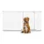 Bettacare Elite Barrière Pour Chiens Extra Haute 198-207 cm Blanc Mat