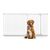 Bettacare Elite Barrière Pour Chiens Extra Haute 189-198 cm Blanc Mat