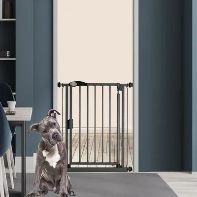 Bettacare Barrière Auto-Fermante pour Chien 103,8–110,8 cm Gris Ardoise