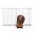 Bettacare Elite Barrière pour Chien à Pression 134–143 cm Blanc Mat