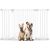 Bettacare Barrière SafeStep, ouverture 81 cm, blanc