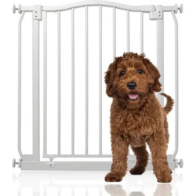 Bettacare Barrière Courbée Pour Animaux 170–179cm Gris Mat