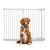 Bettacare Elite Barrière Pour Chiens Extra Haute 134–143 cm Blanc Mat