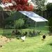 GIANTEX Poulailler pour Poules,Lapins 3 x 2 x 2 m en Acier Galvanisé