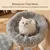 GIANTEX Arbre Chat Bois 50x50 cm, Sisal, Perchoir, Corde, Plateforme