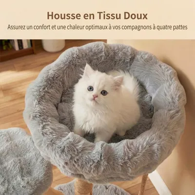 GIANTEX Arbre Chat Bois 50x50 cm, Sisal, Perchoir, Corde, Plateforme