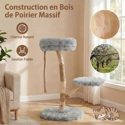 GIANTEX Arbre Chat Bois 50x50 cm, Sisal, Perchoir, Corde, Plateforme