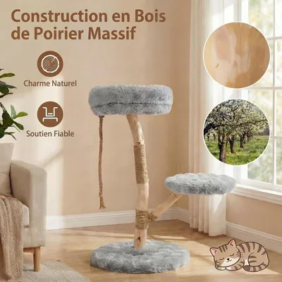 GIANTEX Arbre Chat Bois 50x50 cm, Sisal, Perchoir, Corde, Plateforme