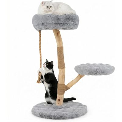 GIANTEX Arbre Chat Bois 50x50 cm, Sisal, Perchoir, Corde, Plateforme