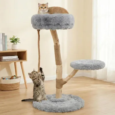 GIANTEX Arbre Chat Bois 50x50 cm, Sisal, Perchoir, Corde, Plateforme