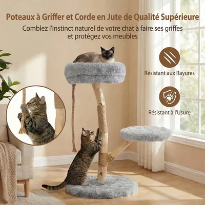 GIANTEX Arbre Chat Bois 50x50 cm, Sisal, Perchoir, Corde, Plateforme