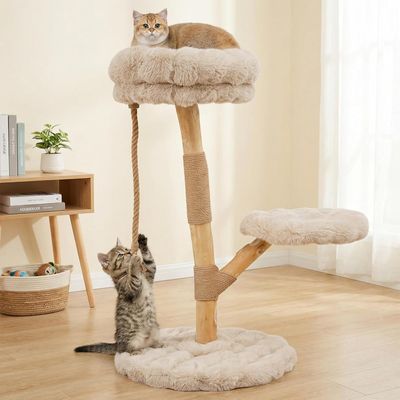 GIANTEX Arbre Chat Bois 50x50 cm, Sisal, Perchoir, Corde, Plateforme